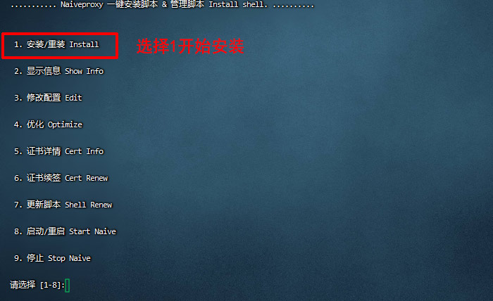 使用Linux云服务器搭建NaiveProxy节点教程 使用Linux云服务器搭建NaiveProxy节点教程