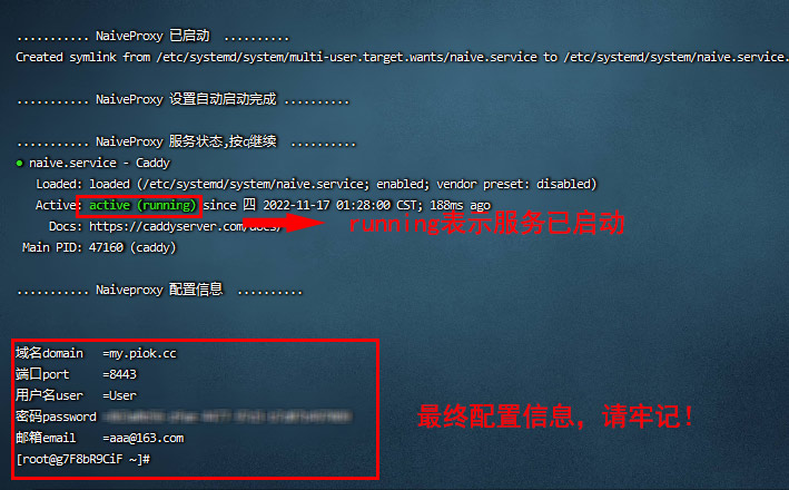 使用Linux云服务器搭建NaiveProxy节点教程 使用Linux云服务器搭建NaiveProxy节点教程