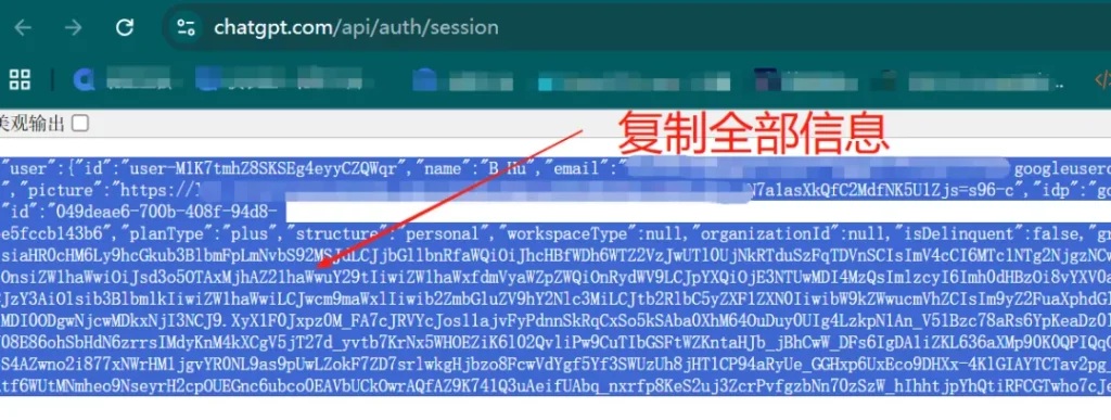 GPT自动充值系统 GPT自动充值系统